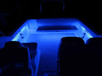 Blue Marine Lighting